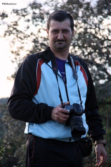 francisco jose zambrano dos