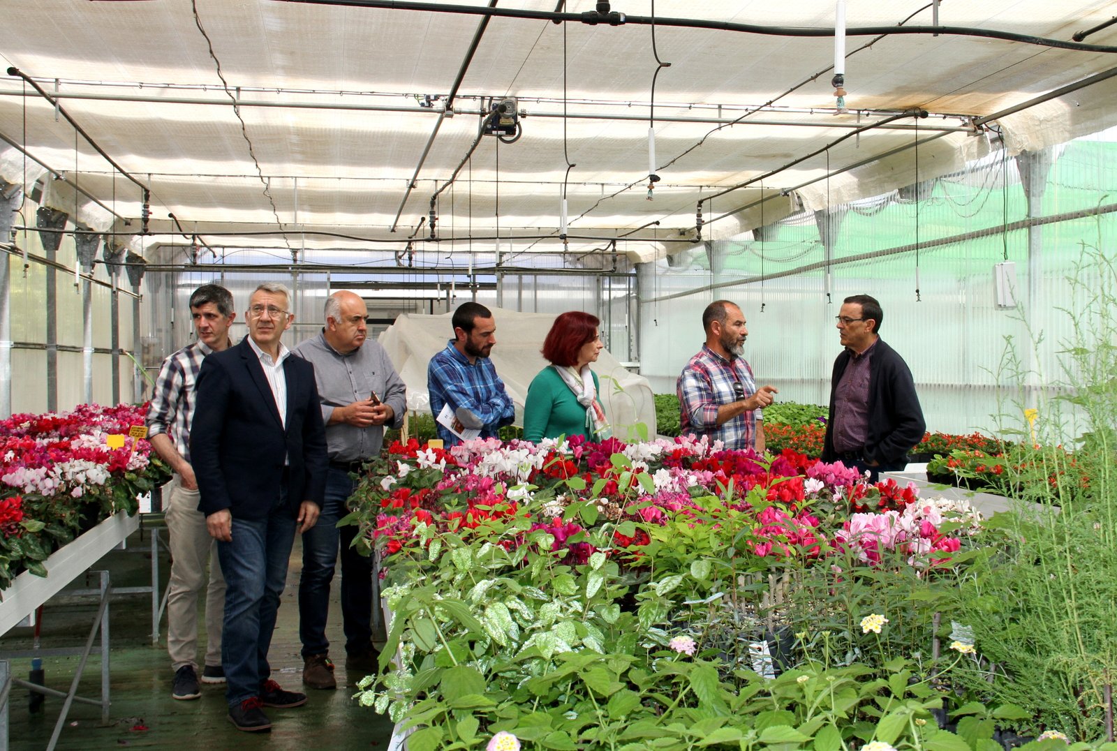 El alcalde de Nerva recoge plantas ornamentales de temporada para el municipio