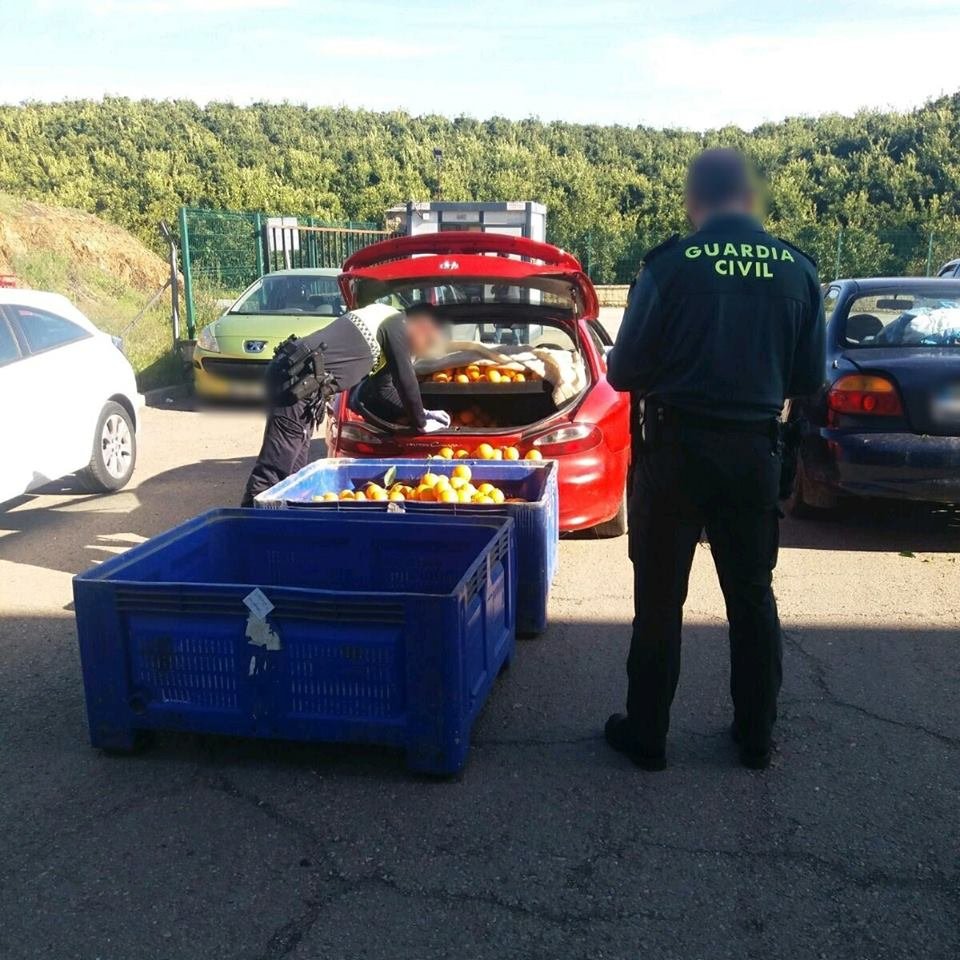 Atrapan a cinco personas en la N-435 tras el robo de mil kilos de naranjas en la Riotinto Fruit