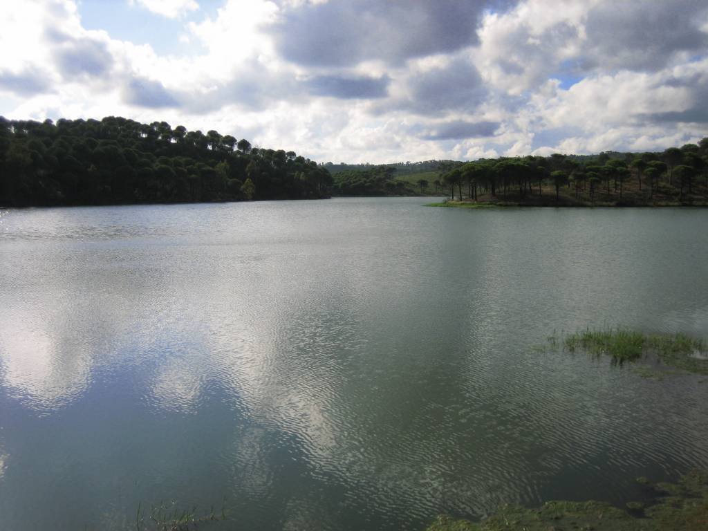 El pantano del Zumajo, un enclave único de El Campillo