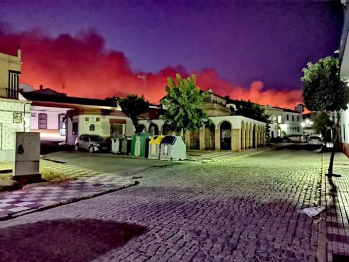 Los primeros indicios concluyen que el incendio de Nerva fue provocado