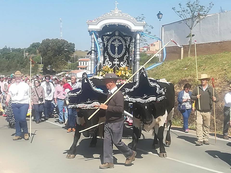 Peligra la Romería de El Campillo
