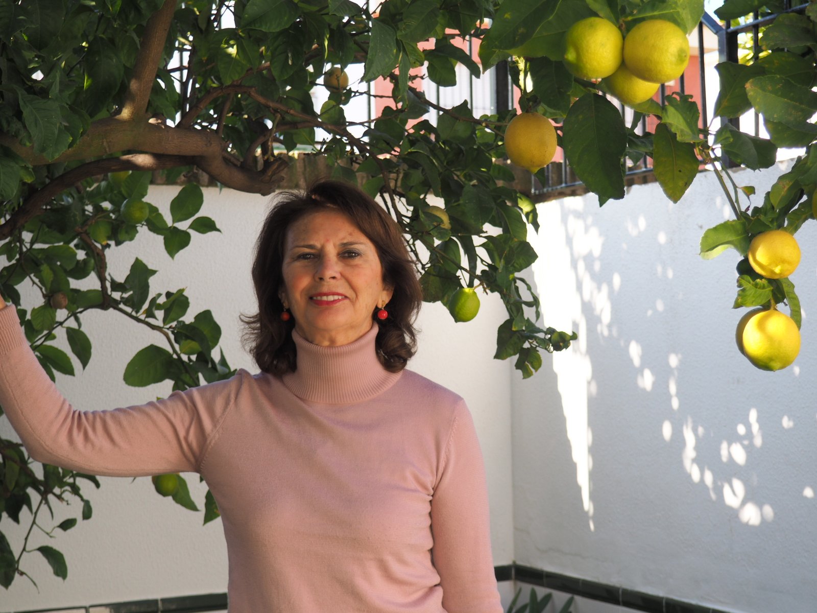 La riotinteña Teresa Hunt presenta su nuevo libro este miércoles en Huelva