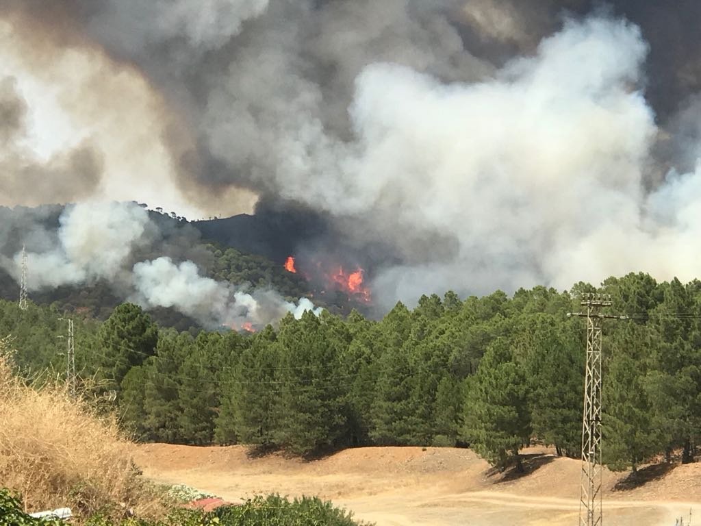 El incendio de la Cuenca Minera arrasó el 88% de toda la superficie quemada en Huelva