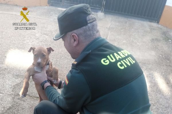 Detienen a un hombre por el robo de un perro en Riotinto