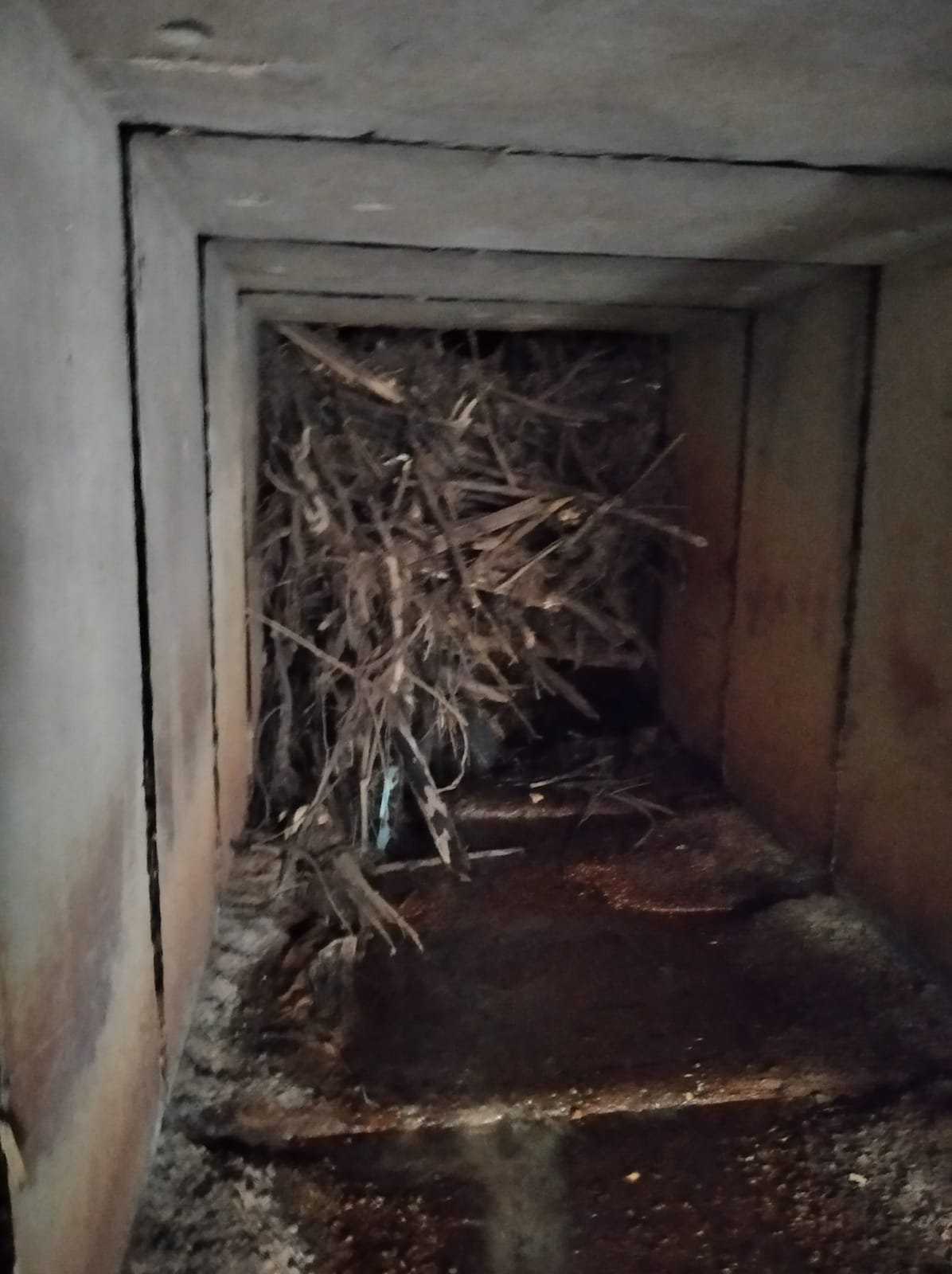 Finalizan los trabajos para desatascar el canal del arroyo Santa María de Nerva