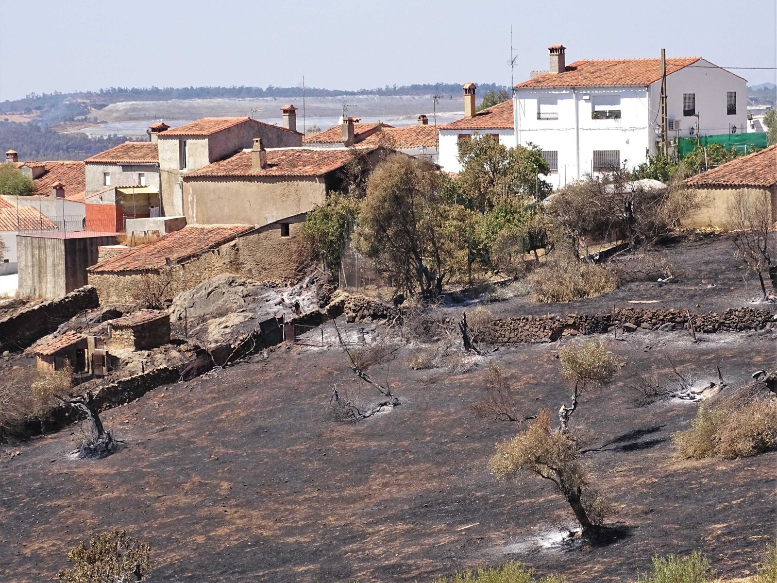 Ecologistas pide a la Junta una oficina técnica para atender a los afectados por el incendio