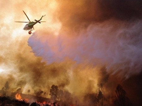 Investigadores de la UHU trabajan en un plan de regeneración tras el incendio que afectó a Zalamea y El Campillo el pasado verano