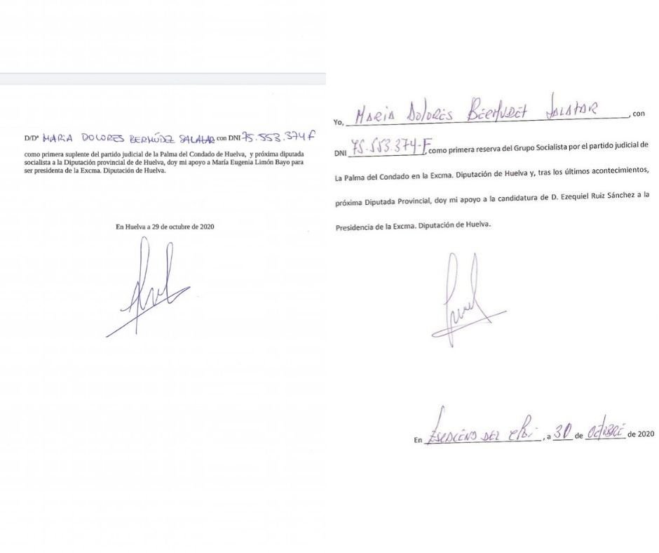 Una concejala del PSOE denuncia que han utilizado su nombre para hacer daño a María Eugenia Limón