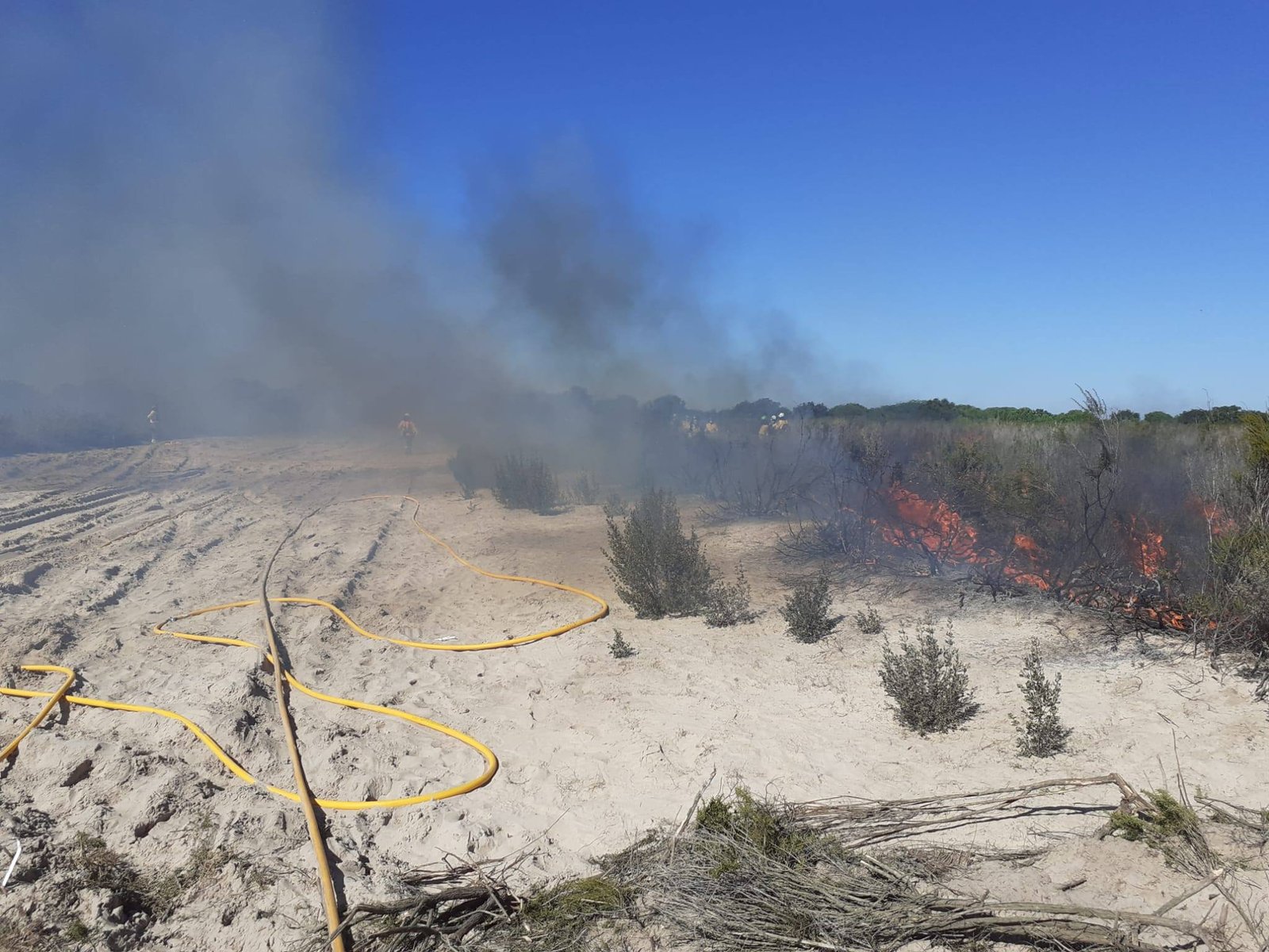 Realizan quemas controladas en Doñana para investigar los efectos del fuego