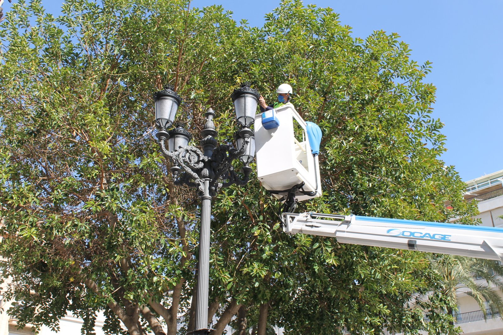 El Ayuntamiento pone cámaras de videovigilancia en la Plaza de las Monjas