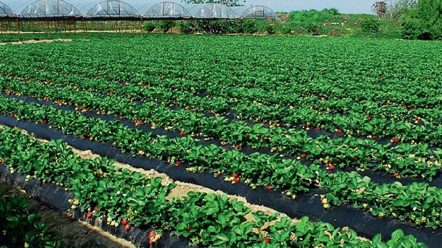 CSIF exige calidad y estabilidad en los nuevos contratos que se realizan en la provincia