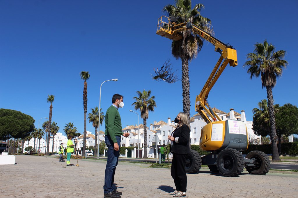 El Ayuntamiento acomete la poda de las palmeras y arbolado en Nuevo Portil