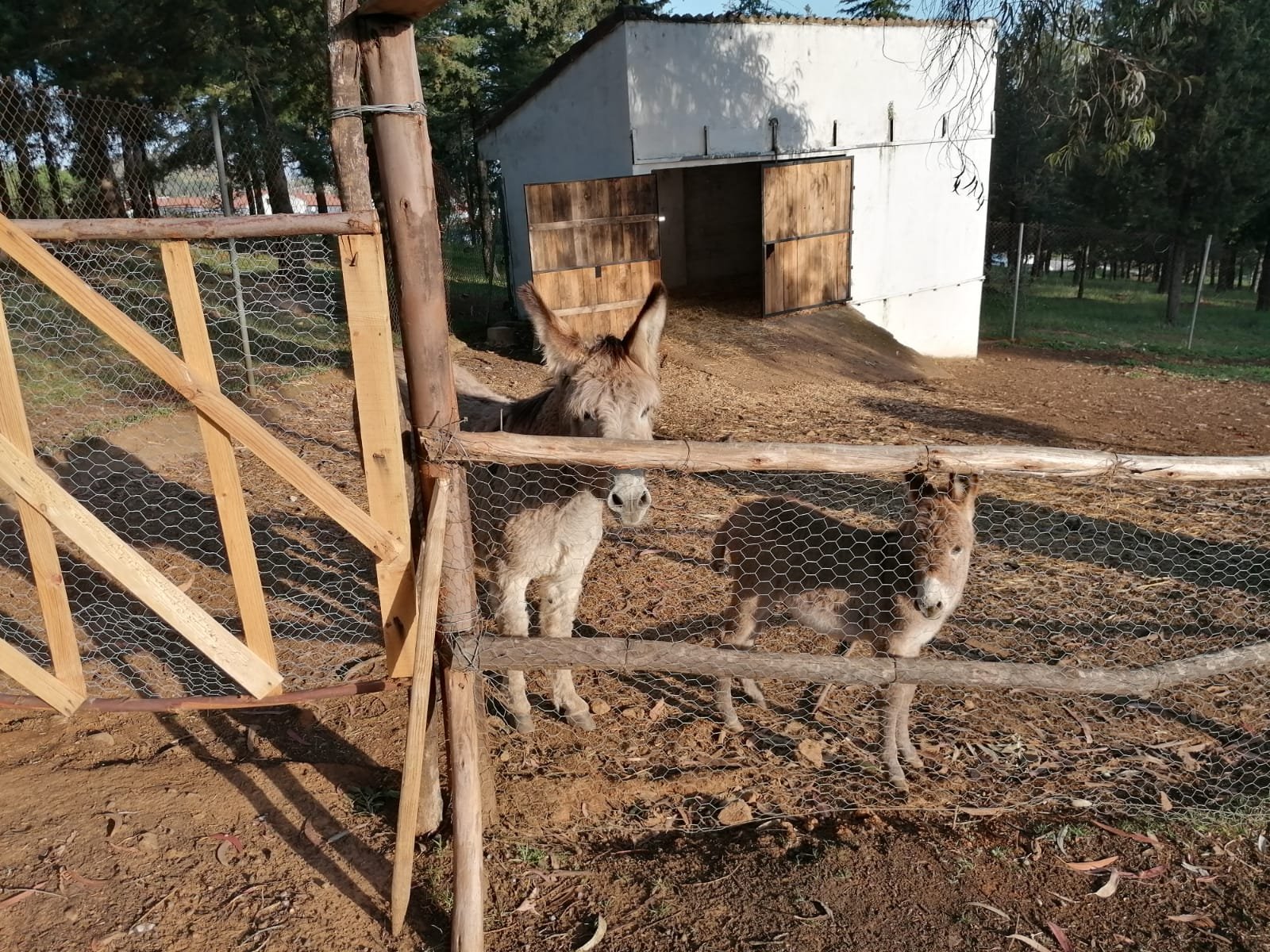 Recuperan el área zoológica del Parque Los Cipreses de El Campillo