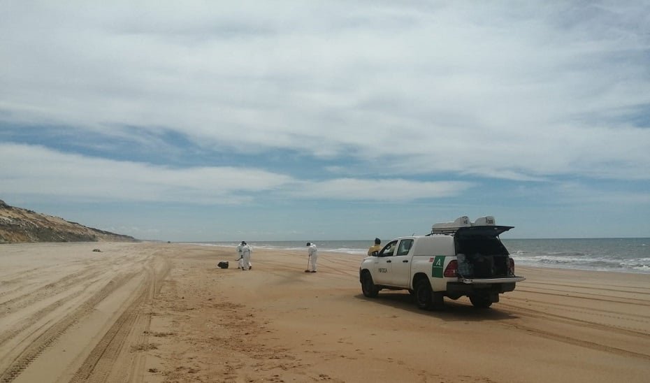 Los técnicos limpiarán en una horas los últimos 500 metros de vertidos frente a Doñana