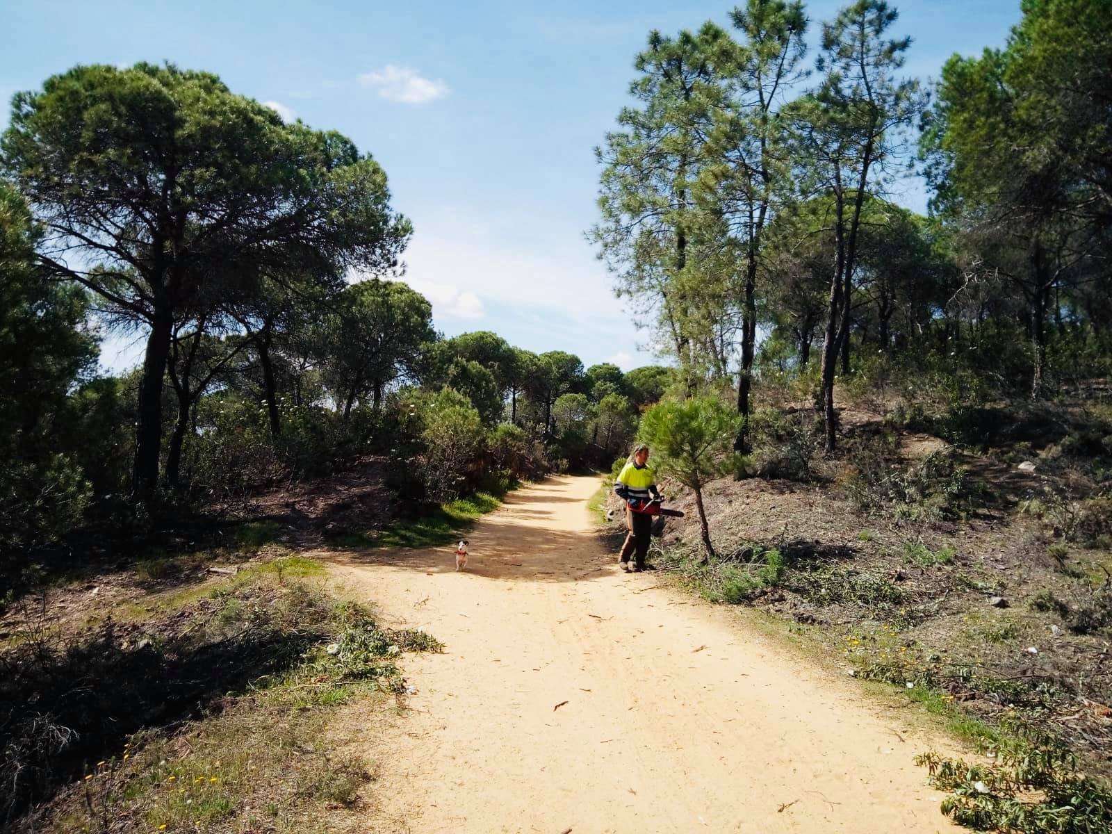 Comienzan los trabajos de rehabilitación de la Vía Verde de Riotinto