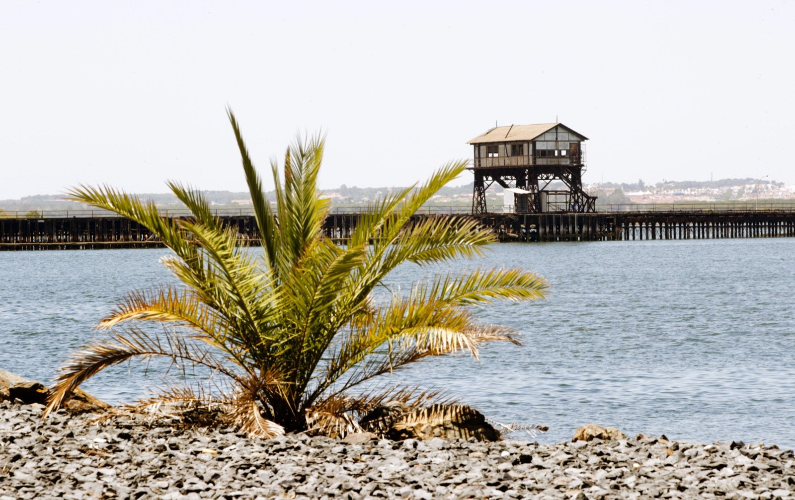 El Puerto de Huelva licita las obras de rehabilitación del Muelle de Tharsis