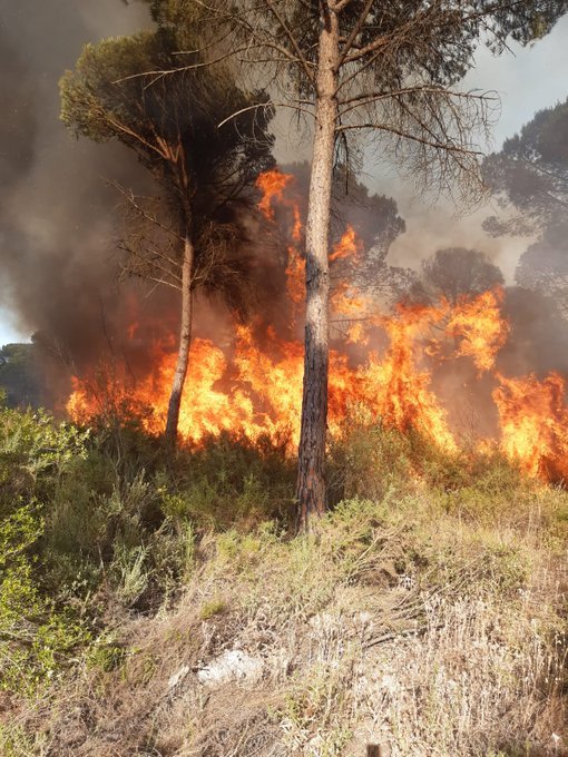 Declarado un incendio forestal en Lucena
