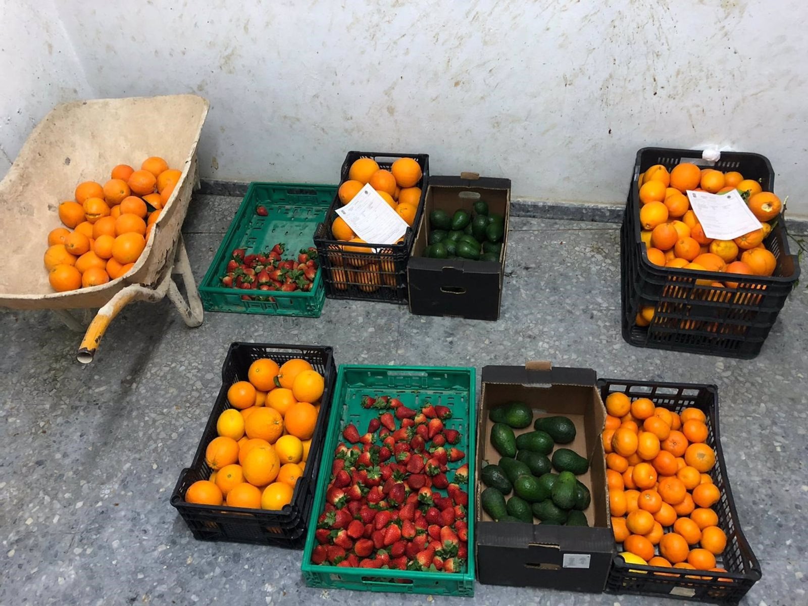 La policía local de Huelva se incauta de más de 12 toneladas de comida ilegal
