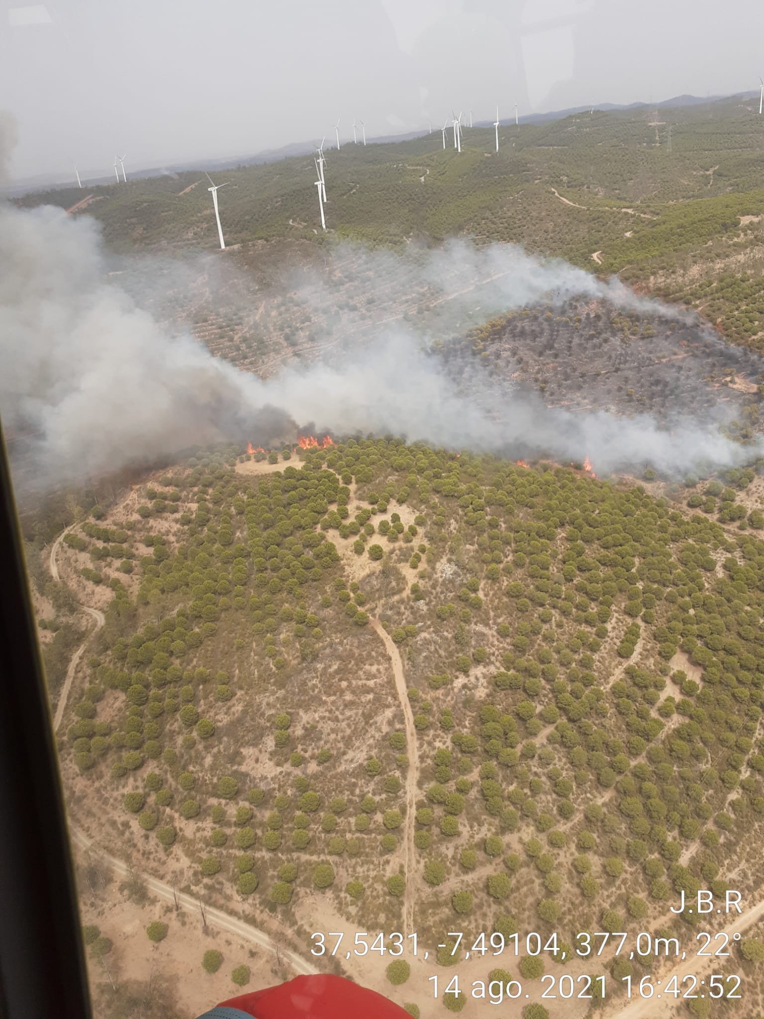 Investigan a dos personas por el incendio forestal de El Granado
