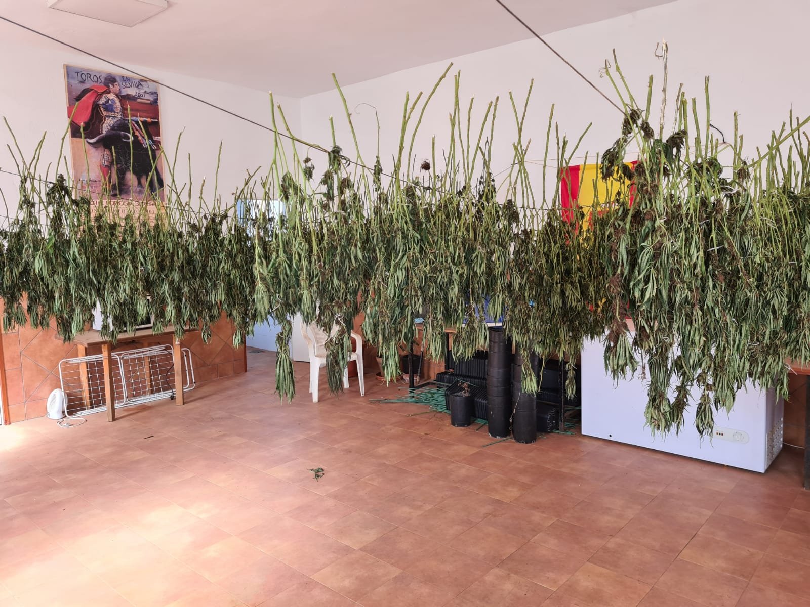 Denuncian irregularidades en el transporte y depósito de marihuana intervenida en Huelva