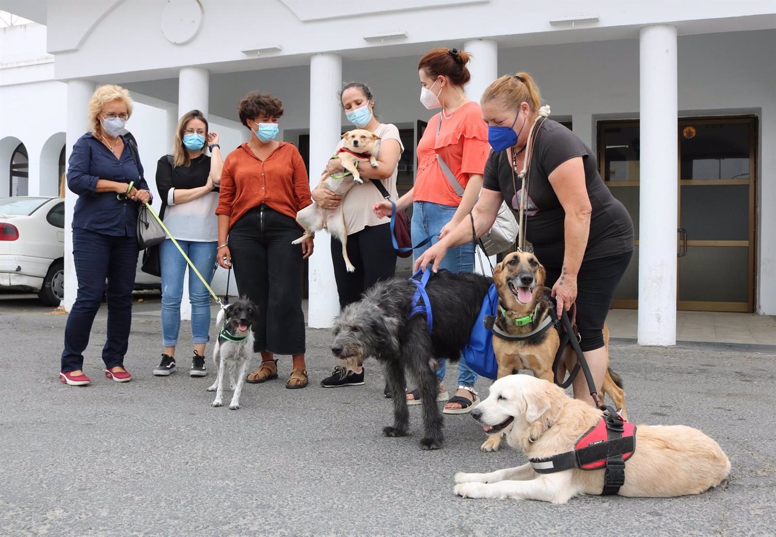 Cartaya lleva a cabo un proyecto de terapia asistida con animales para víctimas de Violencia de Género