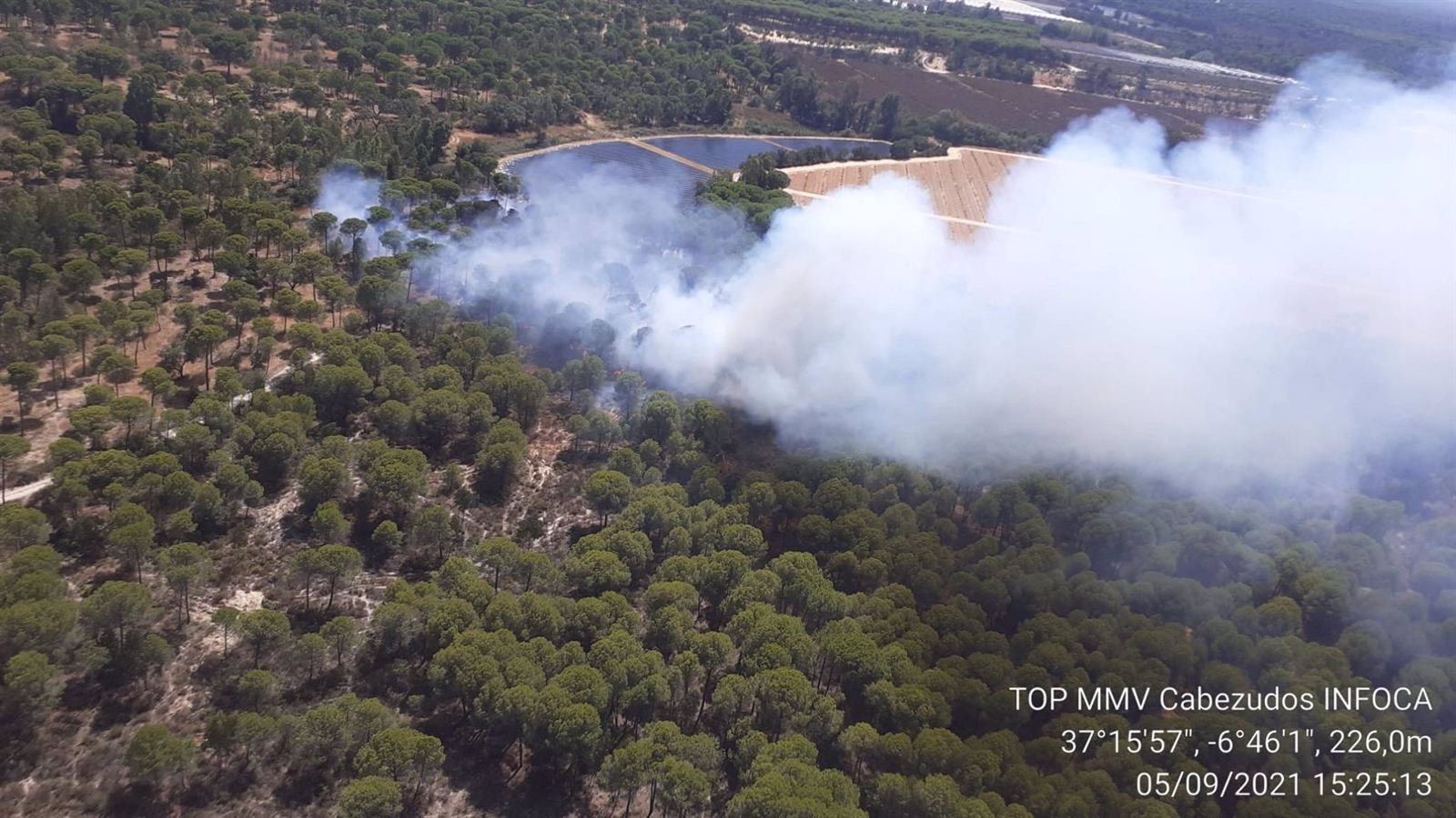 Extinguidos los incendio de Moguer y Aracena que se declararon el domingo