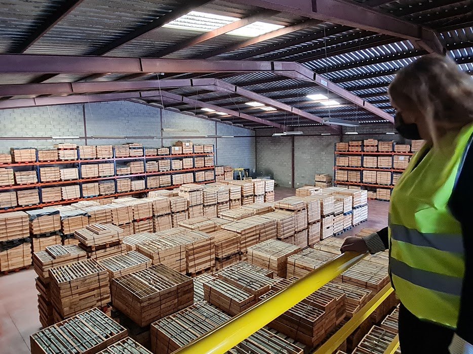 Atalaya Mining aumenta las investigaciones mineras en Valverde