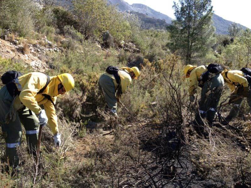 Buscan a 20 peones forestales para Zalamea a través del SAE