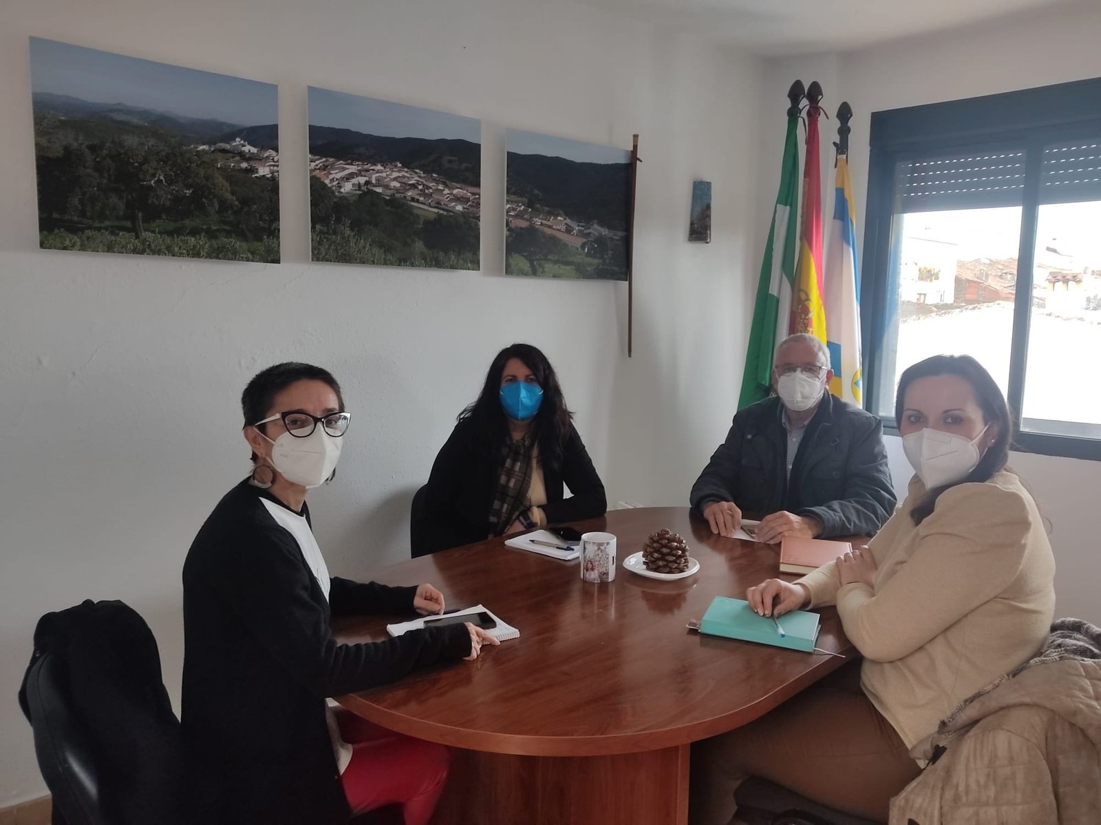 Cañaveral, Cumbres Mayores e Hinojales reclaman poner fin a los microcortes de luz que sufren sus municipios