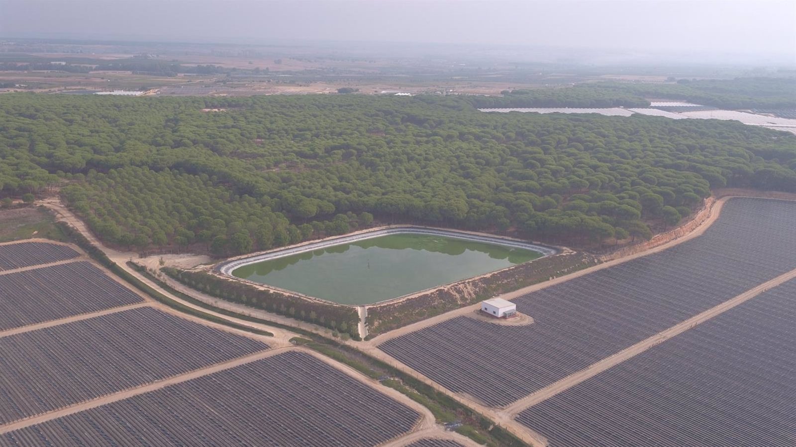 WWF denuncia ante la Unesco el intento de recuperar «agricultores ilegales» en Doñana