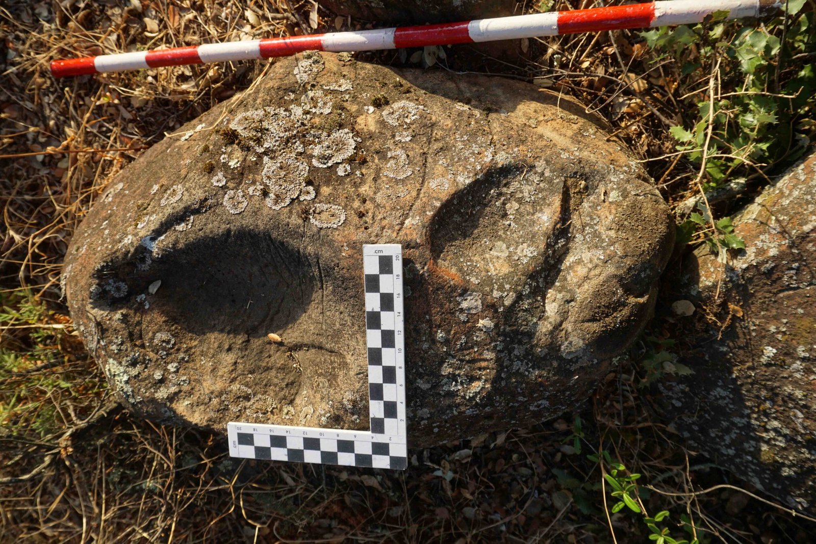 Los nuevos petroglifos hallados en Zalamea darán paso a un estudio profundo sobre los grabados