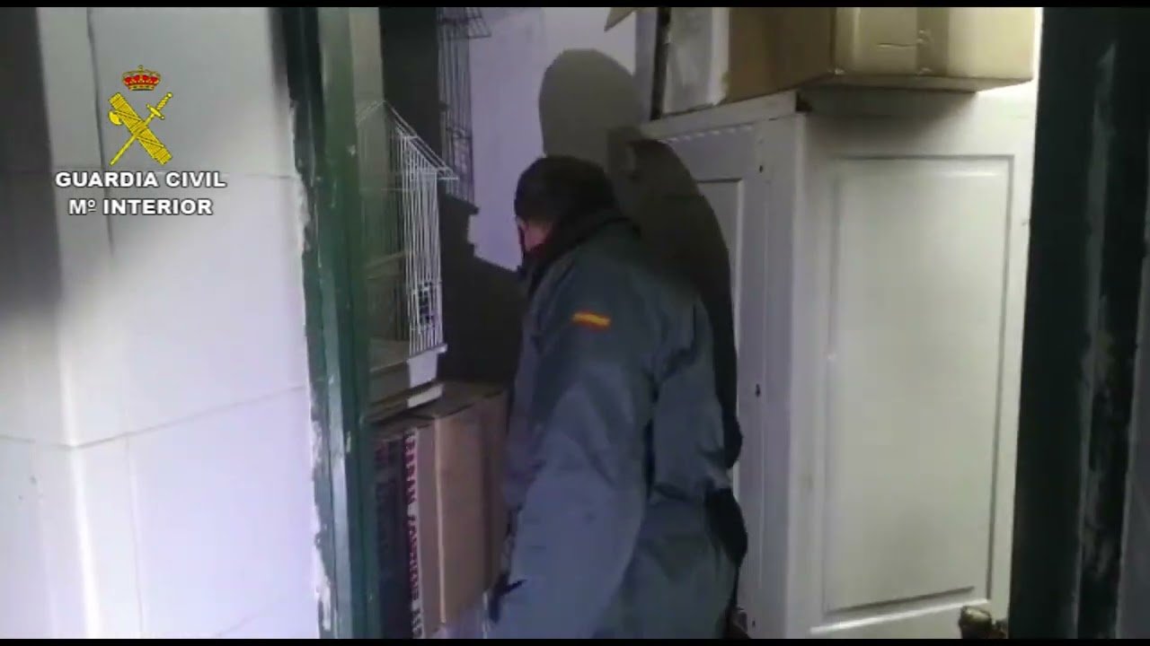 Intervienen 451 kilos de coquinas, chirlas y navajas ilegales en un zulo de Isla Cristina