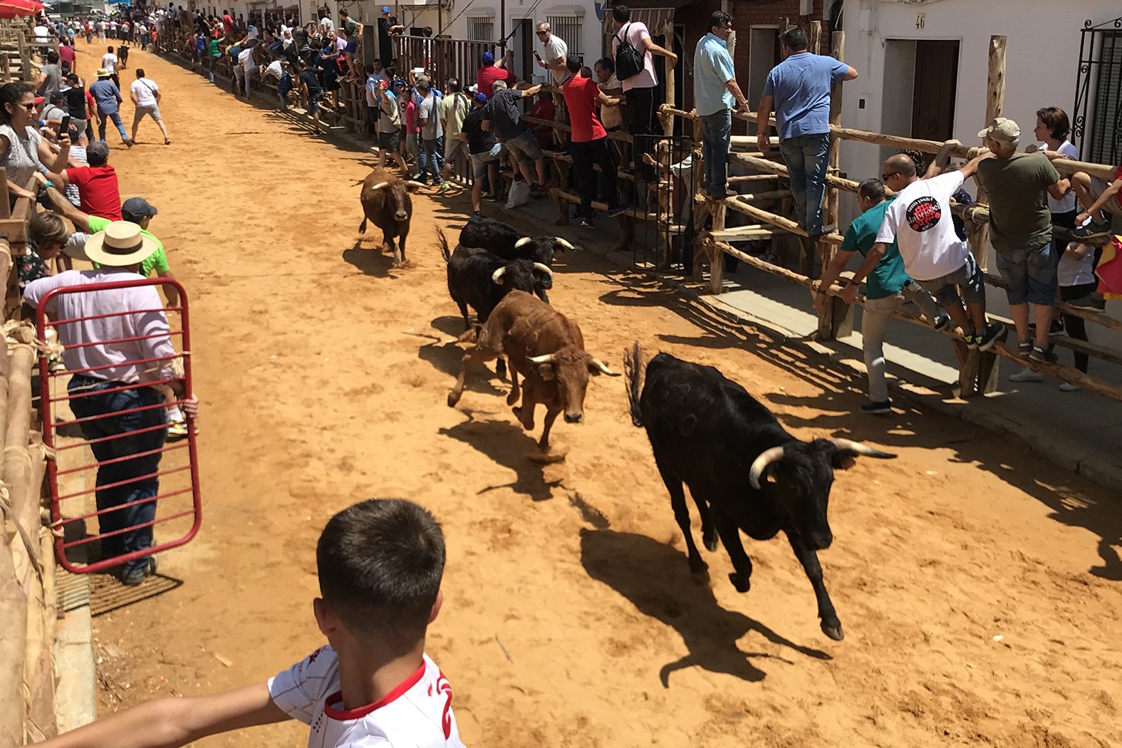 Convocado el concurso para elegir el cartel de las fiestas de San Juan Bautista