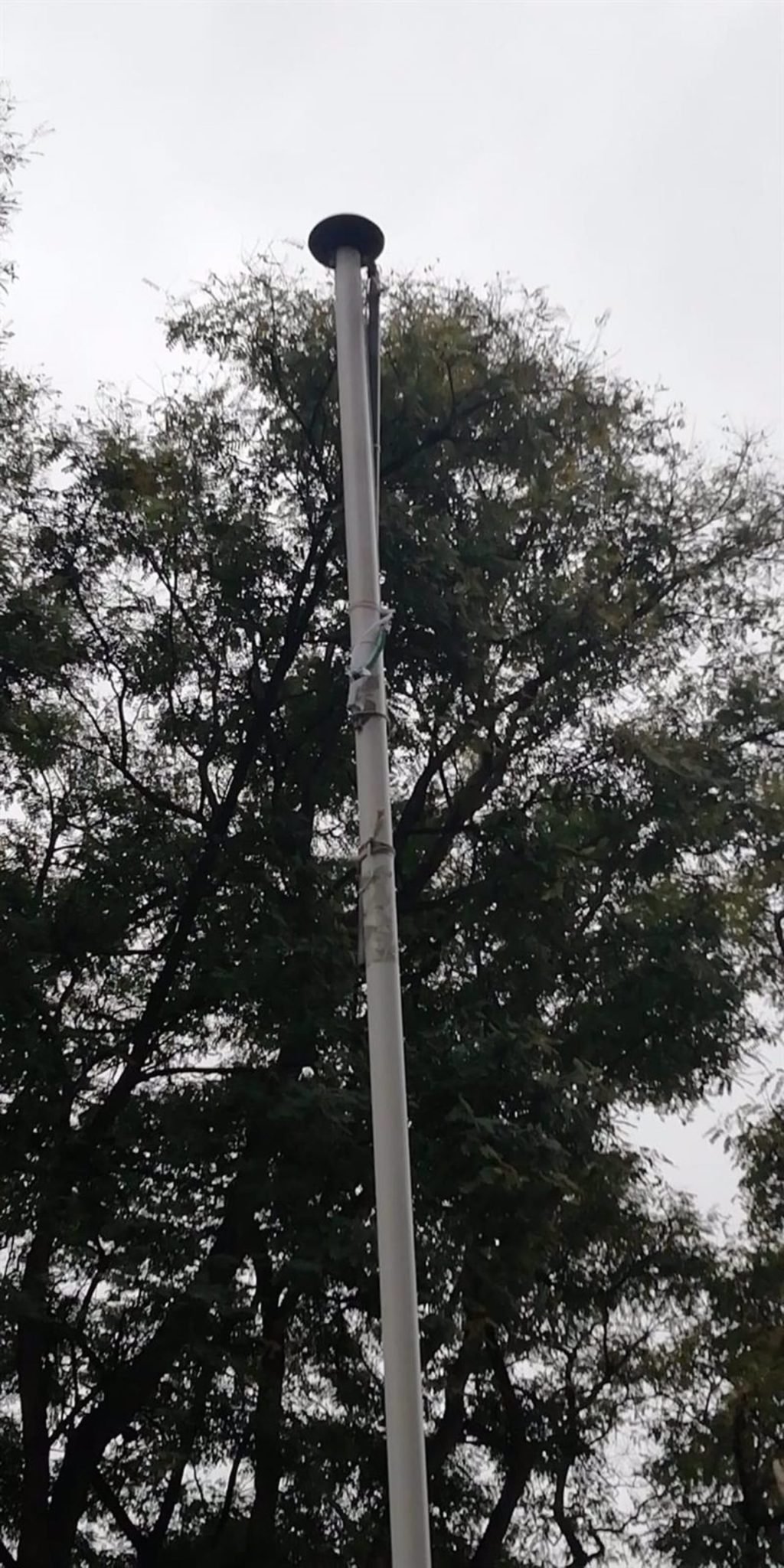 Roban por segunda vez la bandera autonómica de la Avenida de Andalucía