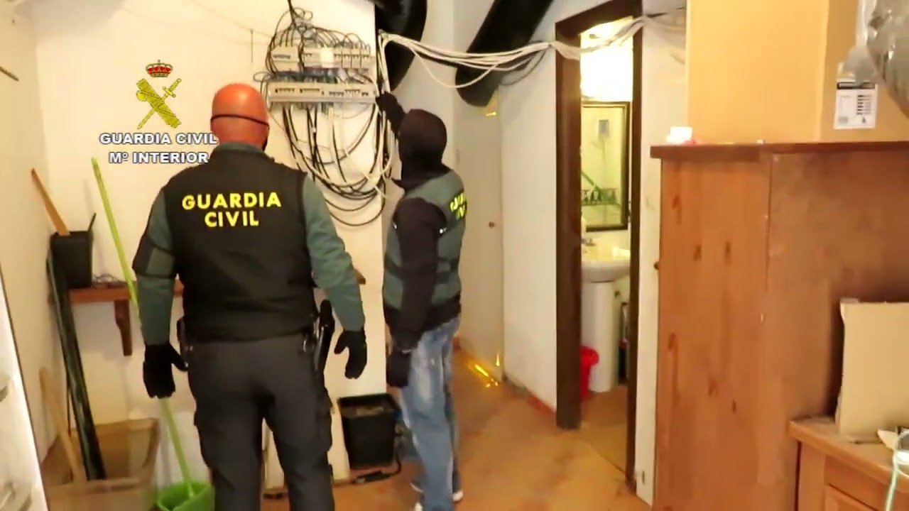Dos detenidos por cultivar más de 230 plantas de marihuana en El Rocío