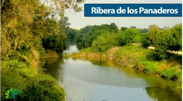El Campillo organiza la 5ª ruta de Senderismo por la ‘Ribera de los panaderos’