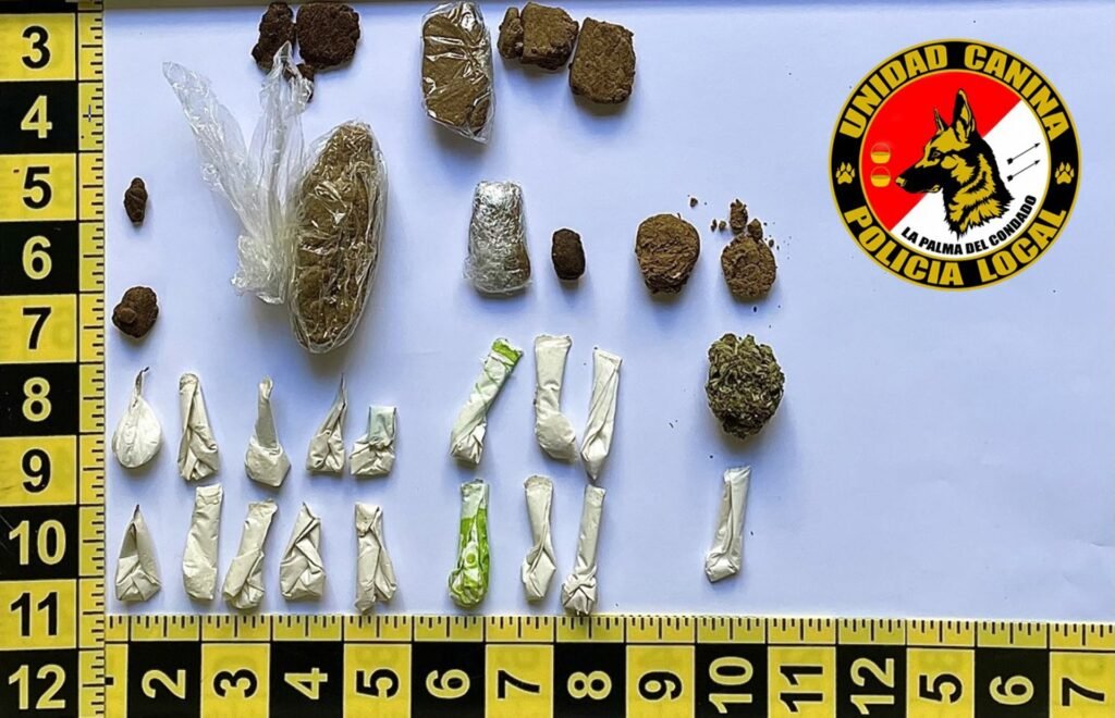 Una intervención en botellones de La Palma culmina con la aprehensión de droga y 15 denuncias