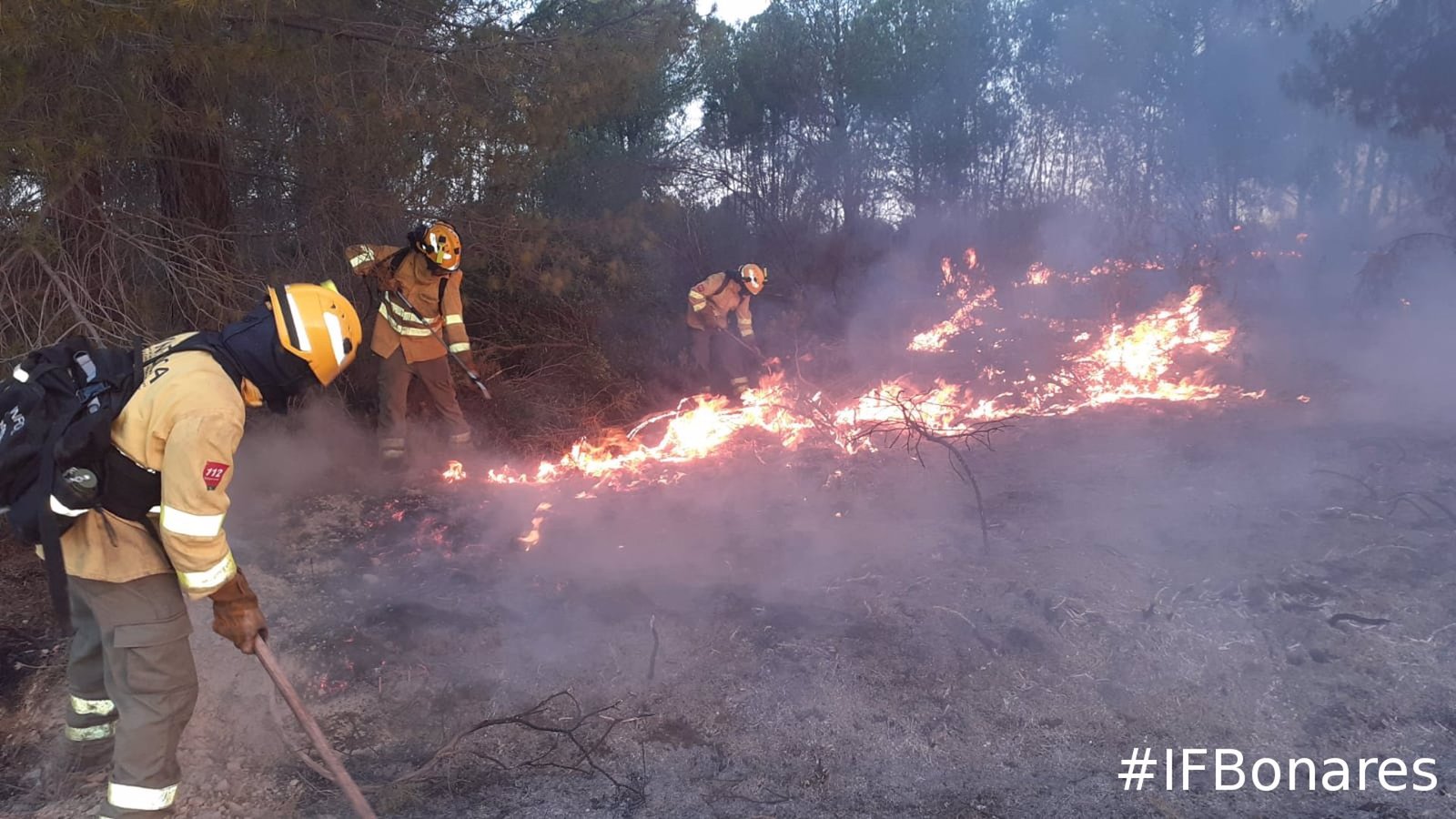 Freshuelva evalúa los daños ocasionados por los incendios de Bonares y Almonte