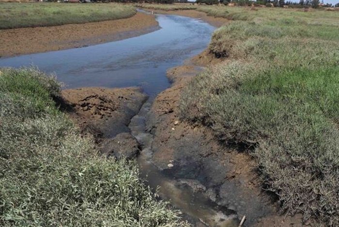 Cumbre vecinal por el colector de Cartaya