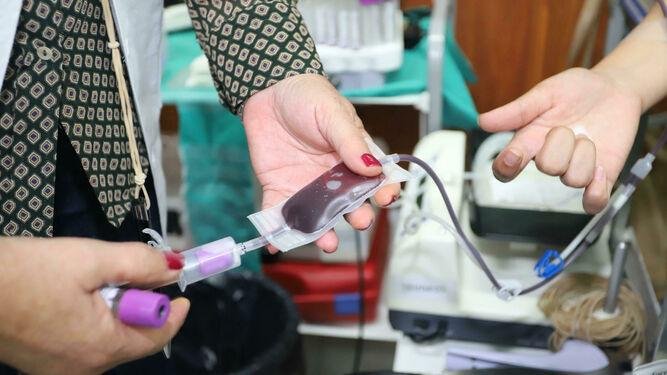 Arranca la campaña de donación de sangre en la Universidad de Huelva