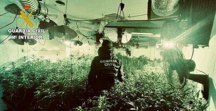Marihuana