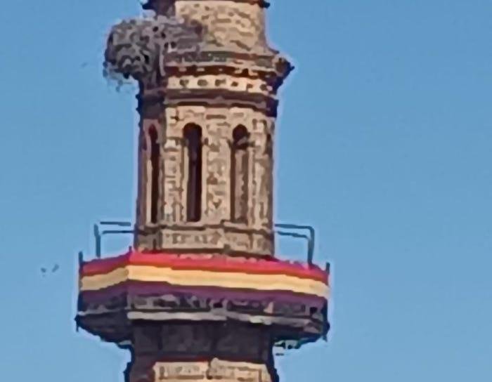 Bandera Nerva