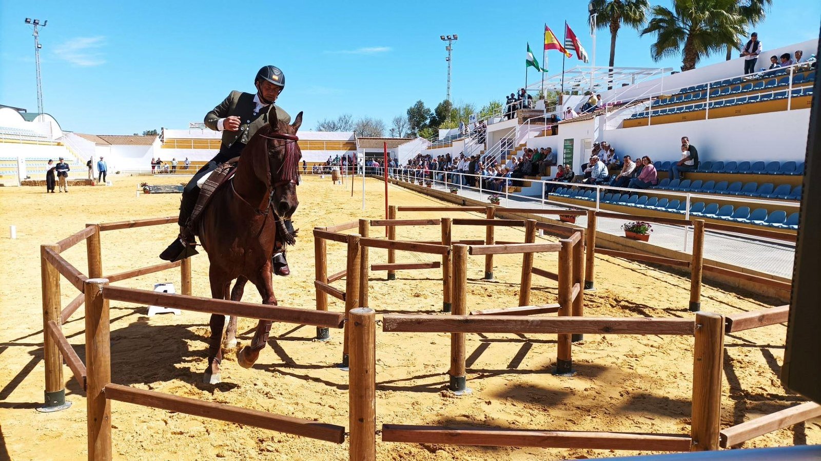 Más de 20.000 personas visitan la Feria Ganadera de la Puebla de Guzmán