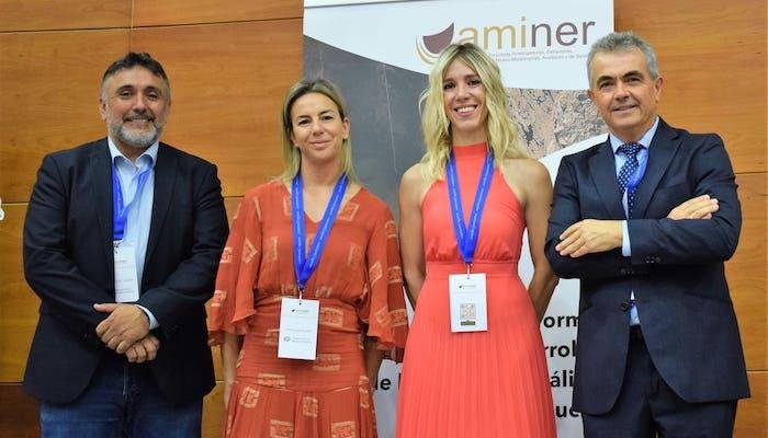 Minería aminer