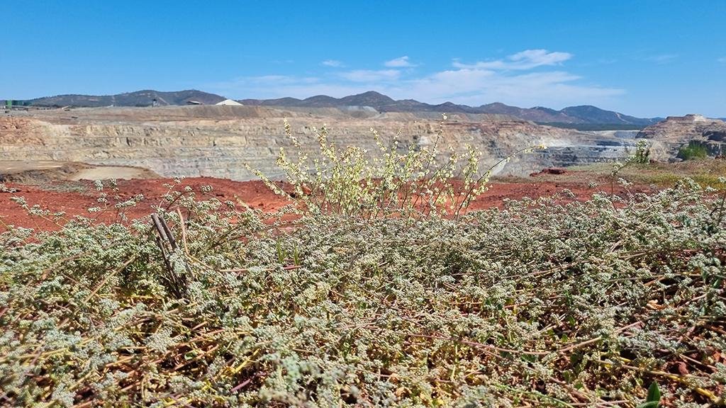 Atalaya Mining mejora en innovación, eficiencia y compromiso social