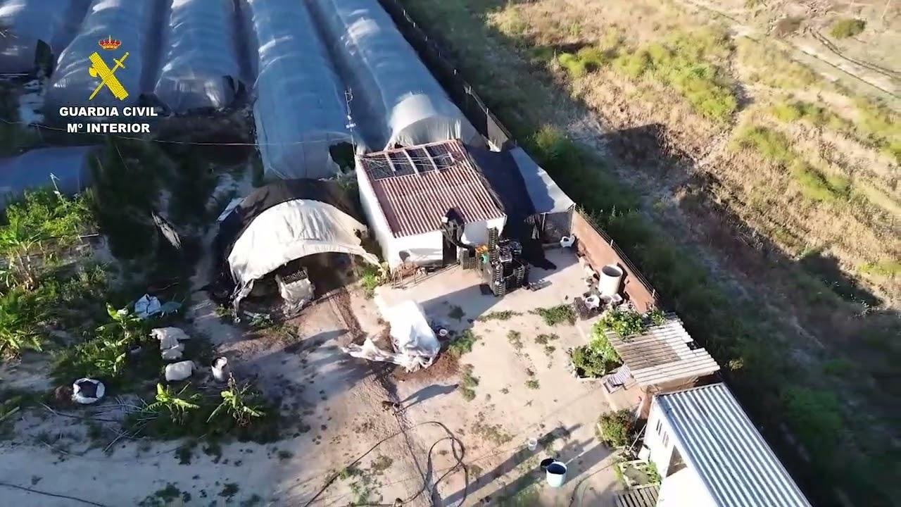 Operación Peppermint marihuana