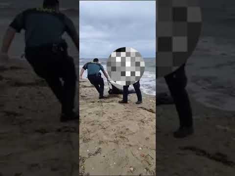 Hallan un cadáver en la Playa de El Espigón
