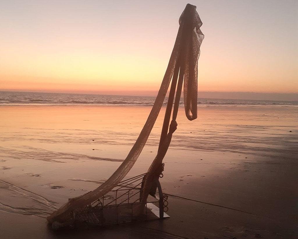 Los mariscadores de la coquina levantan sus rastros