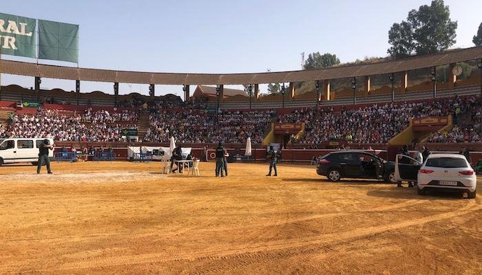 Redada de alegría: 1.600 niños descubren el trabajo de la Guardia Civil
